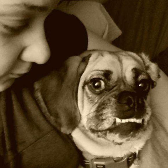 Meet your Posher, Nicole - Picture 6 of 6